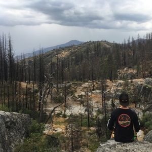 Meet your Posher, Allan